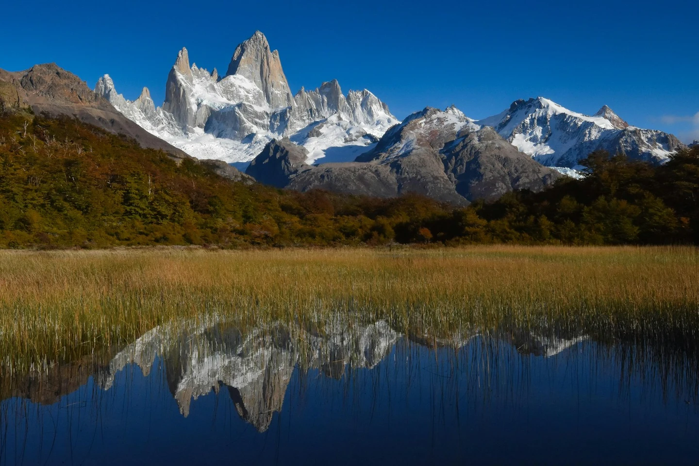 Fitz-Roy-Massiv spiegelt sich in einer Lagune