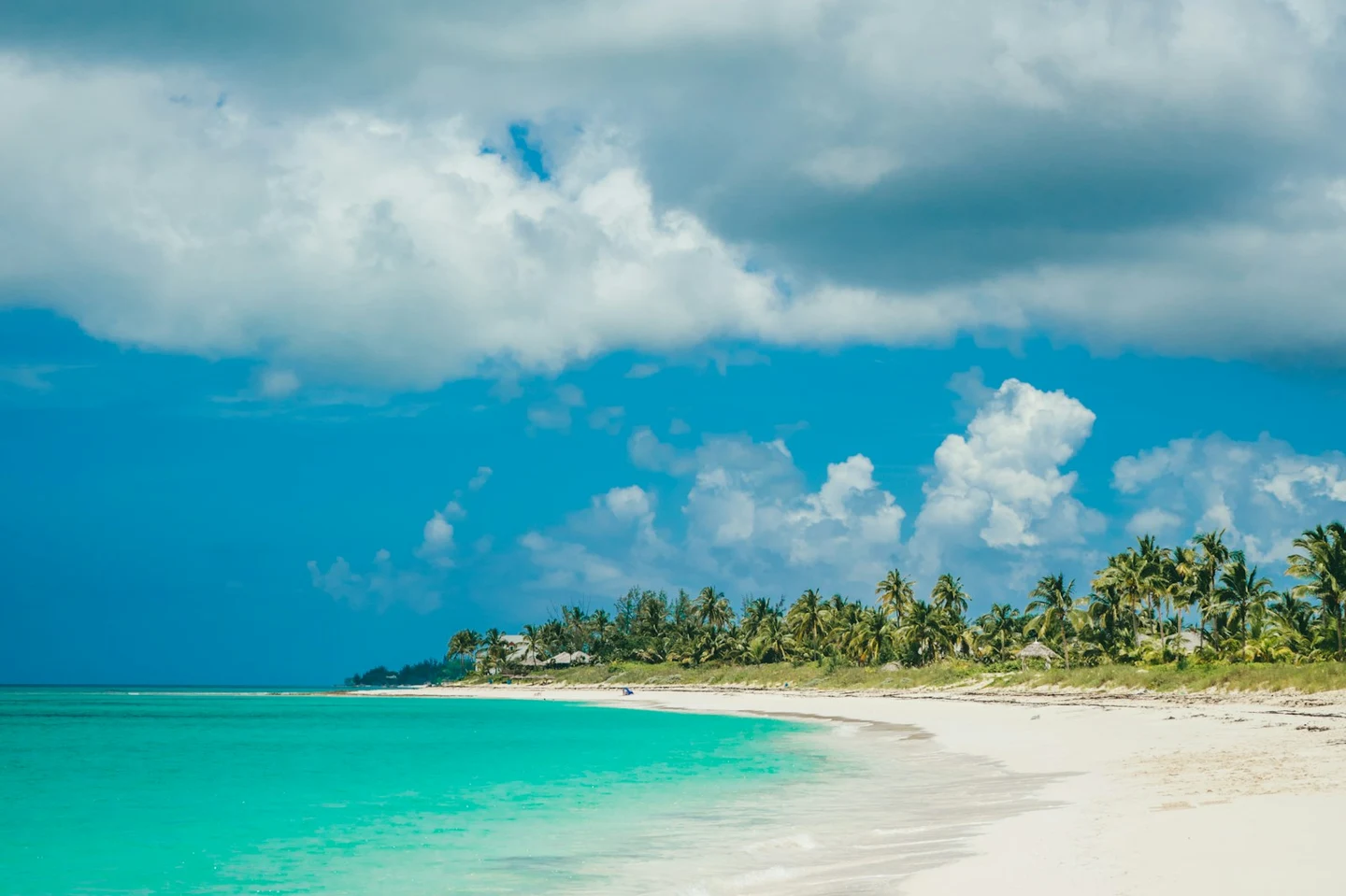 Menschenleerer Strand mit türkisblauem Wasser und Palmen auf den Bahamas
