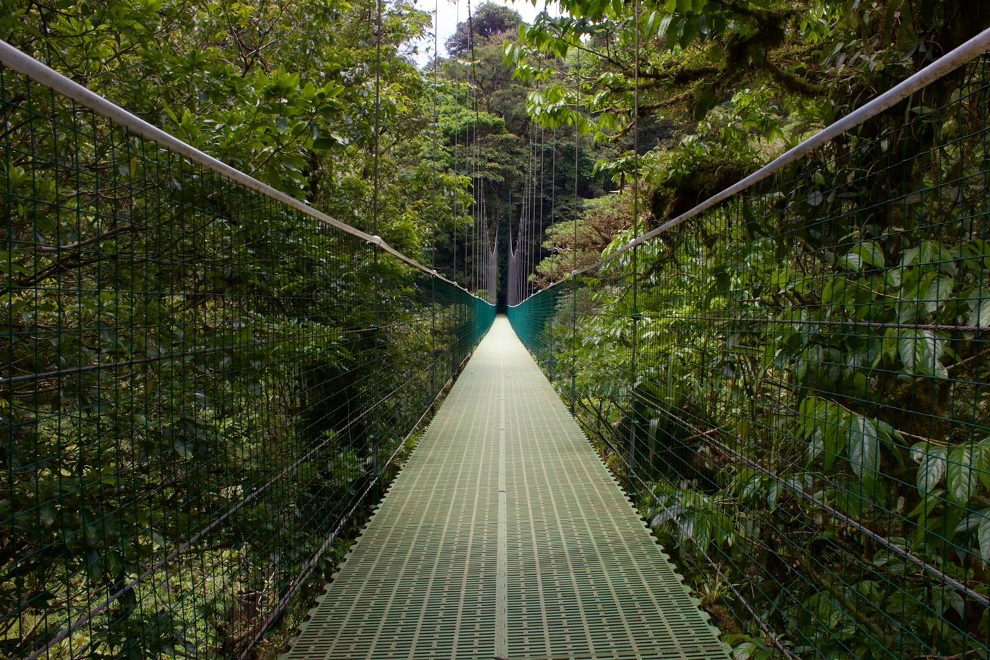 Hängebrücke durch den Nebelwald von Monteverde