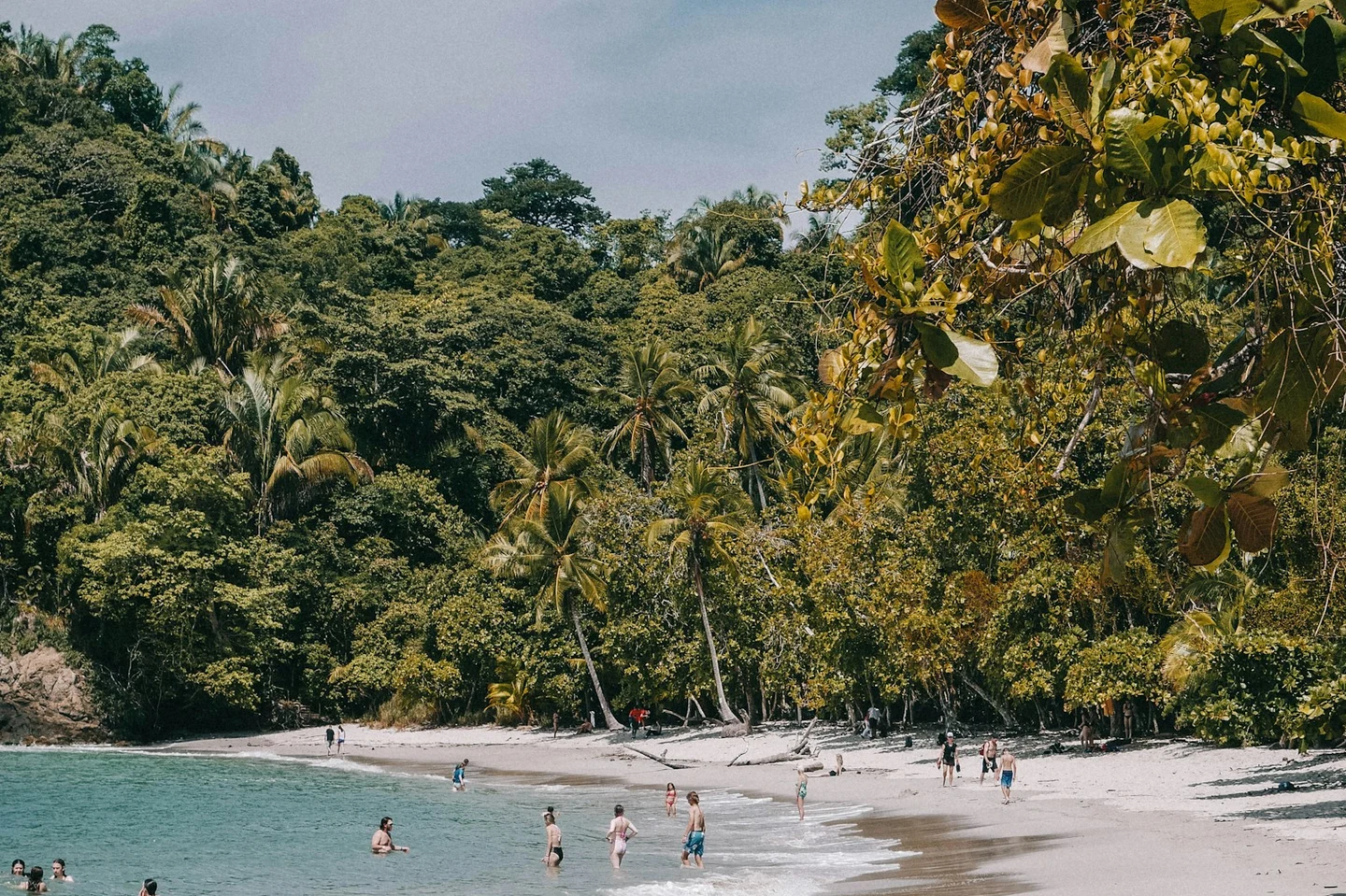 Weißer Sandstrand mit Dschungel im Nationalpark Manuel Antonio