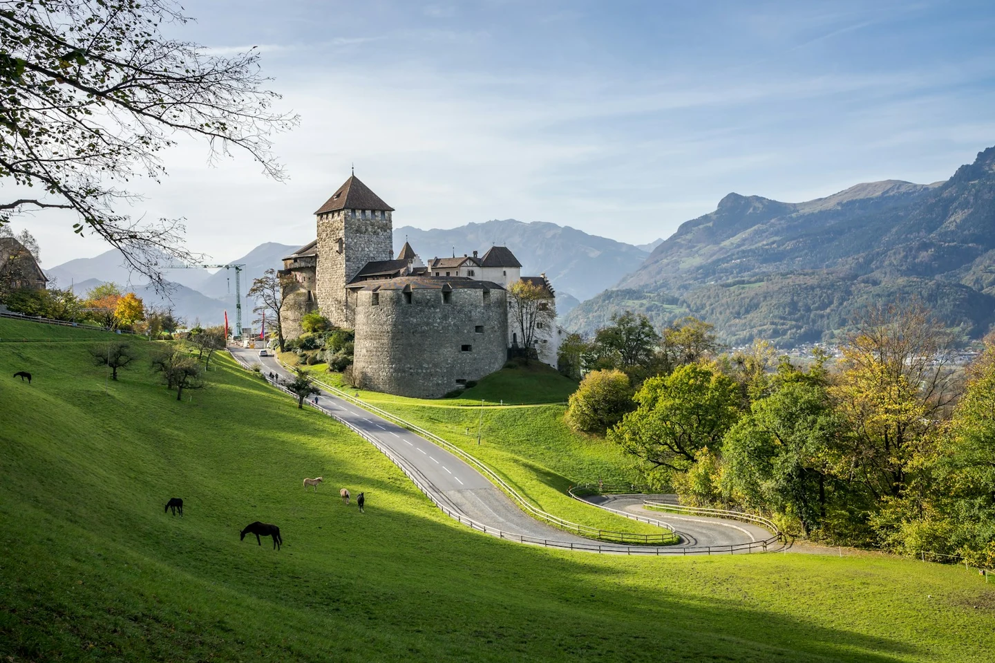 Schloss Vaduz mit weidenden Pferden auf der Wiese davor