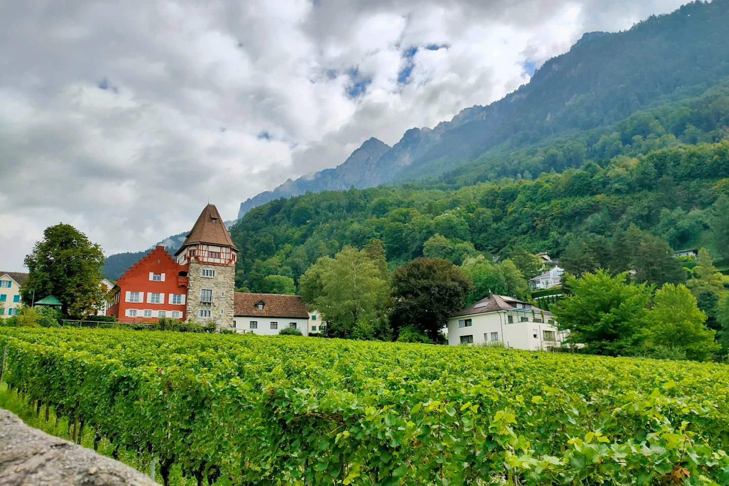 Das Rote Haus in Vaduz mit Weinbergen davor