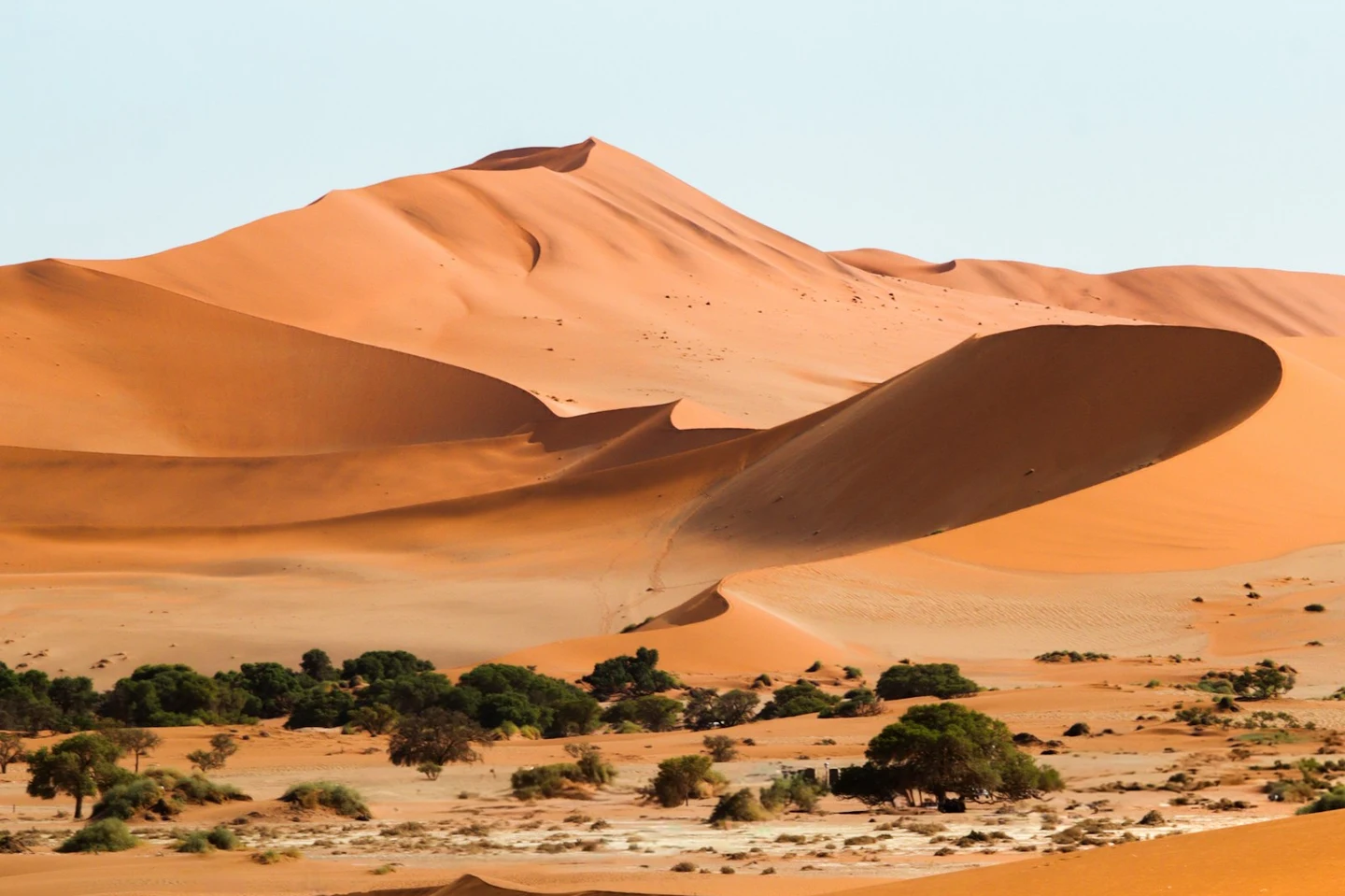 Rote Dünen und grüne Kameldornbäume im Sossusvlei