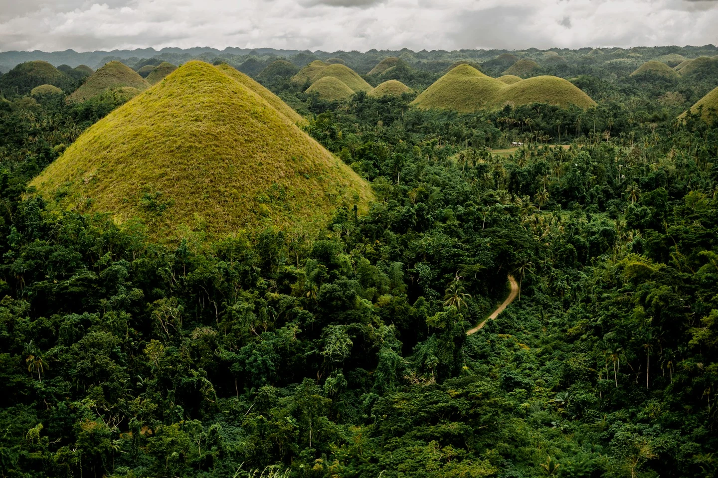 Die Chocolate Hills von Bohol im Morgenlicht