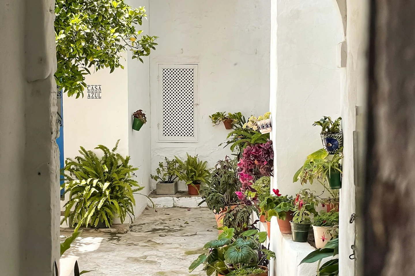 Weißer andalusischer Patio mit Topfpflanzen