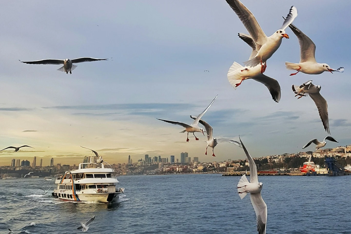 Fähre auf dem Bosporus mit Möwen, dahinter die Silhouette Istanbuls