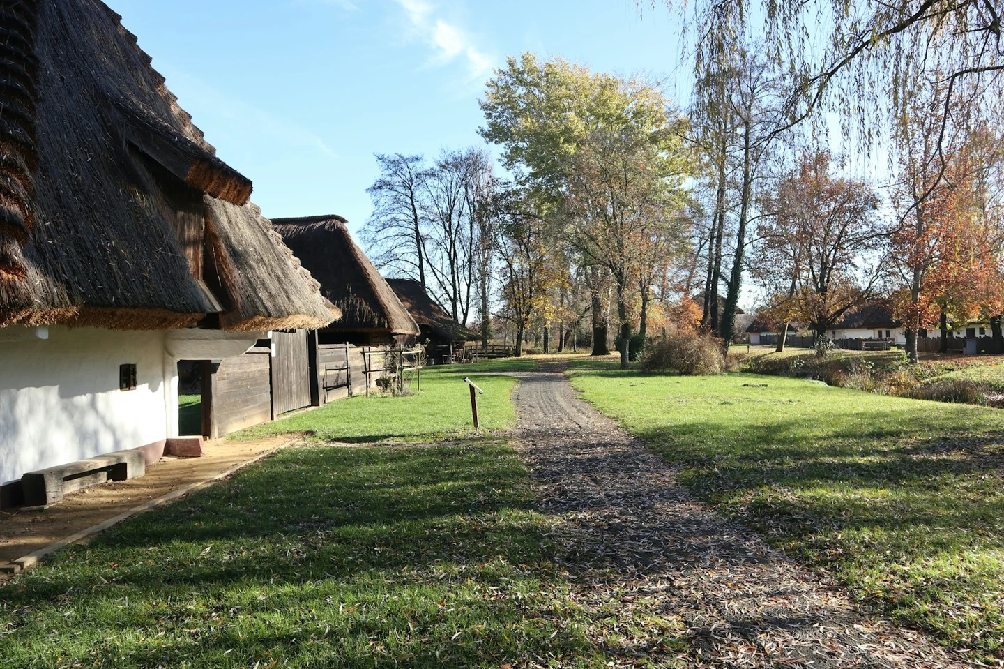 Schilfgedeckte Bauernhäuser in einem ungarischen Dorf