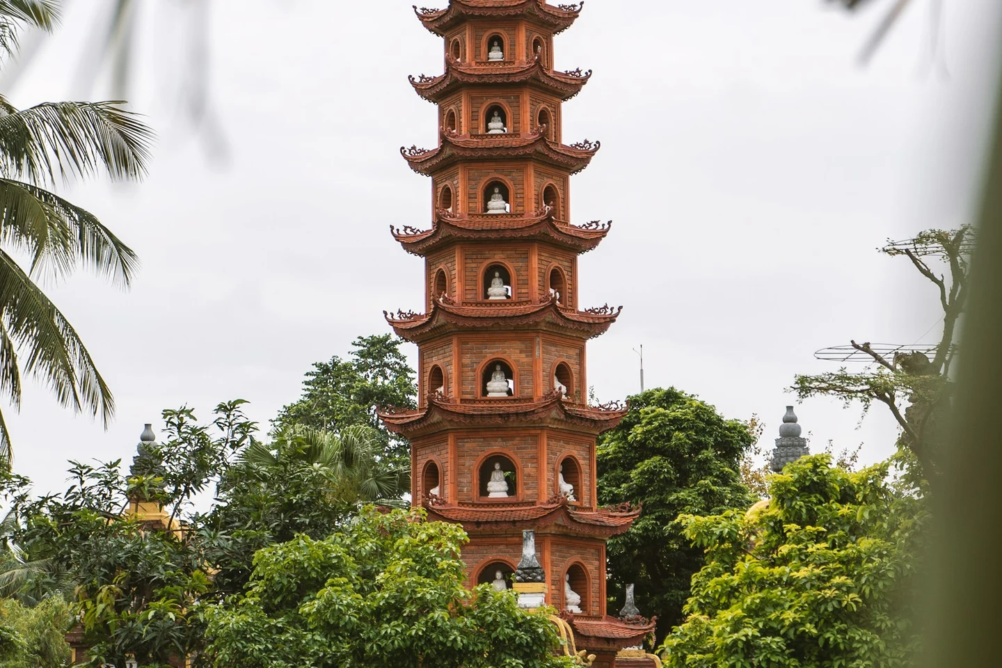 Trấn-Quốc-Pagode am Westsee in Hanoi zwischen Palmen